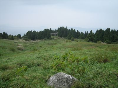 f0036700_1635112.jpg