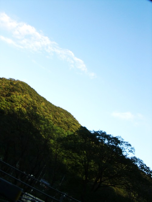 オータム。_f0150413_2330939.jpg