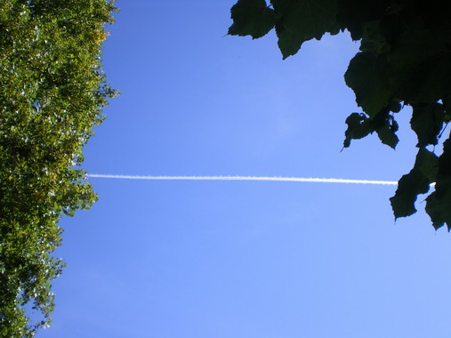 c0124619_2464962.jpg