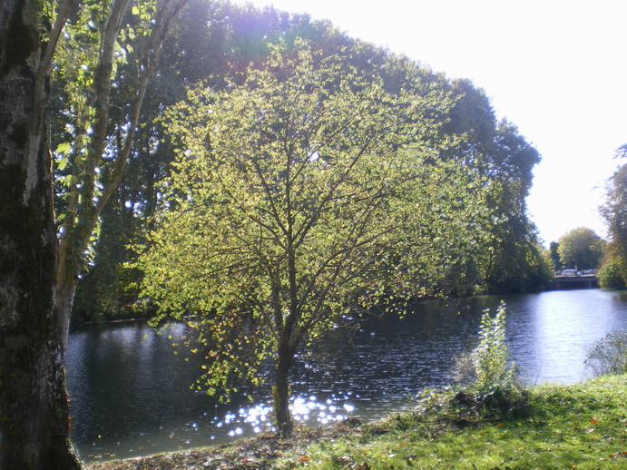 c0124619_2475197.jpg