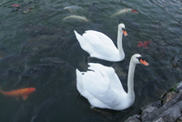 b0083620_1351631.jpg