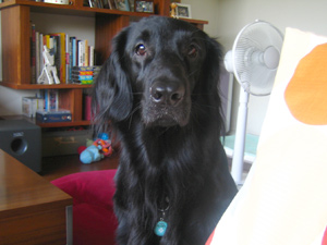 c0012120_1714348.jpg