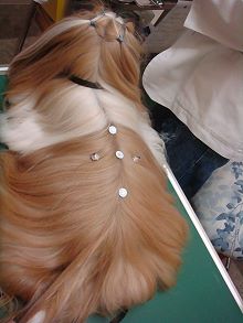 c0028424_19201110.jpg