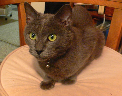 f0060424_1024284.jpg