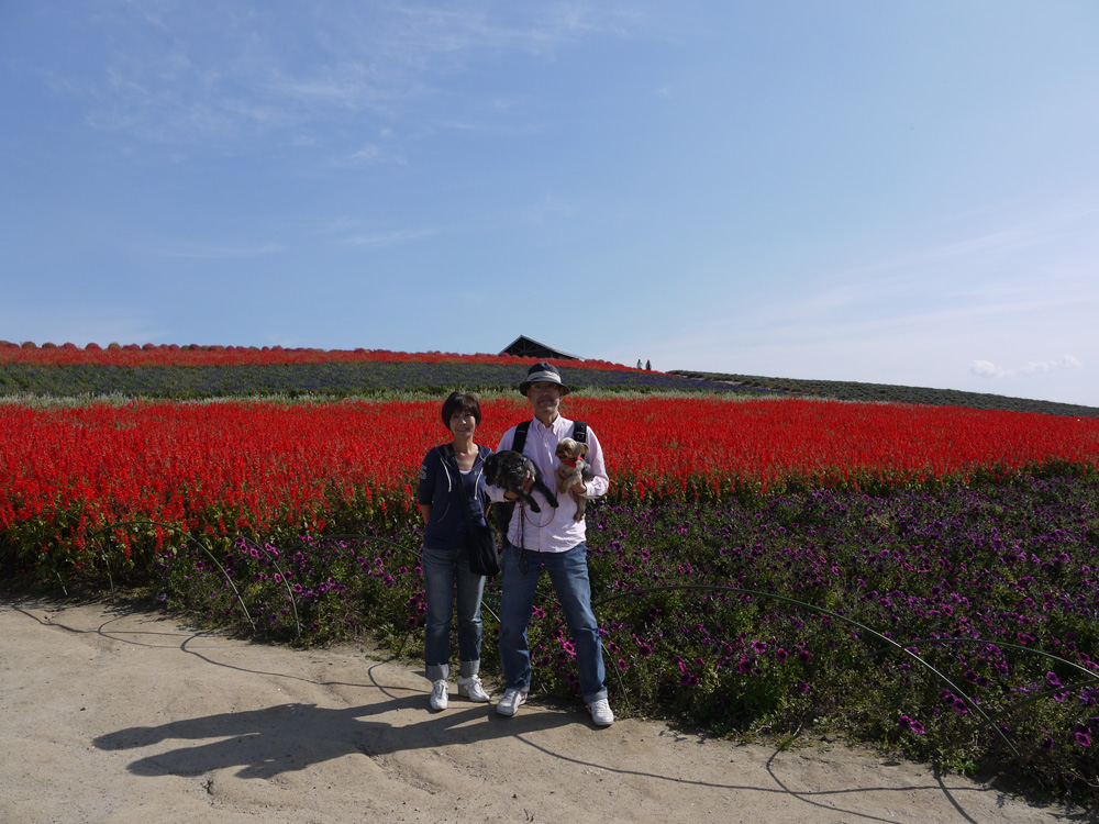 d0161525_142622.jpg