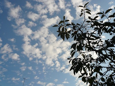 a0006033_160681.jpg