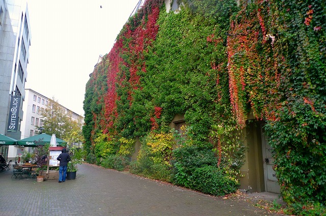 c0153740_2314829.jpg