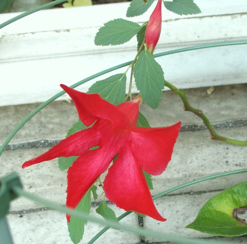 e0172840_22273926.jpg