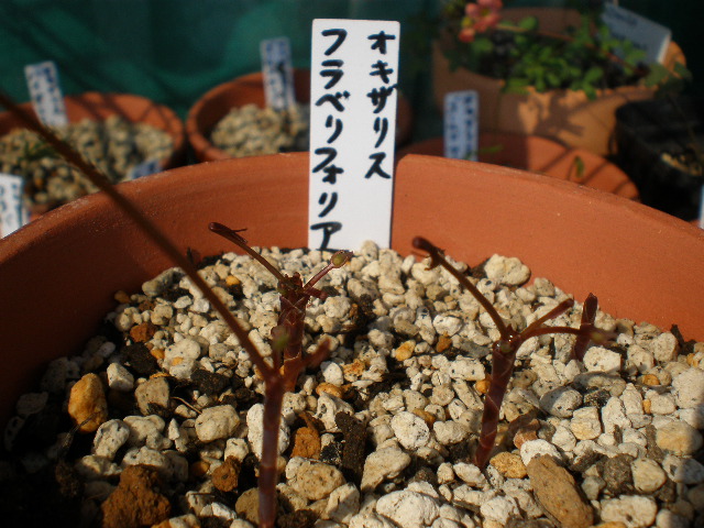 f0236744_0255920.jpg