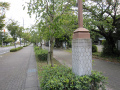 前島神社_b0208246_16402133.jpg