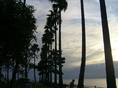 b0099751_1523937.jpg