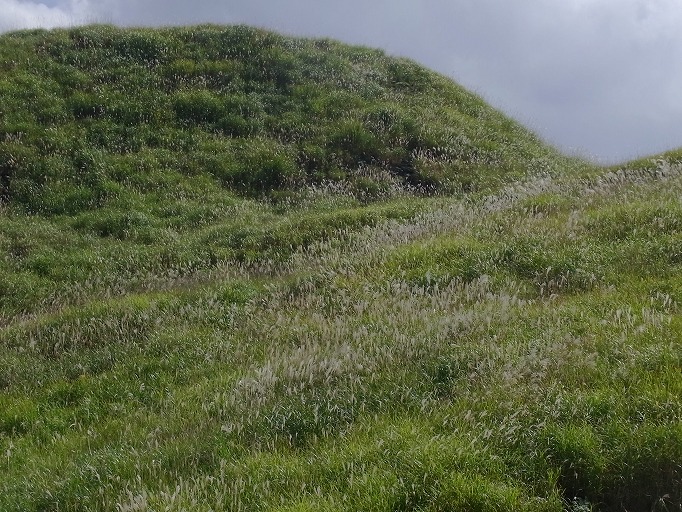 峰山・とのみね 周遊 3_c0217851_17271459.jpg