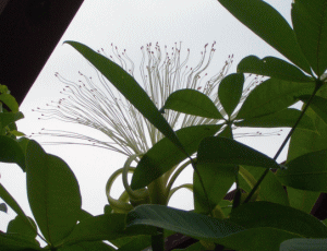 f0149456_23213130.gif