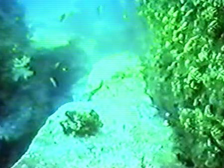 宗像・沖ノ島海底遺跡・謎の海底神殿・巨大な四本の石柱―ラセン階段が付いていた_c0222861_16504817.jpg