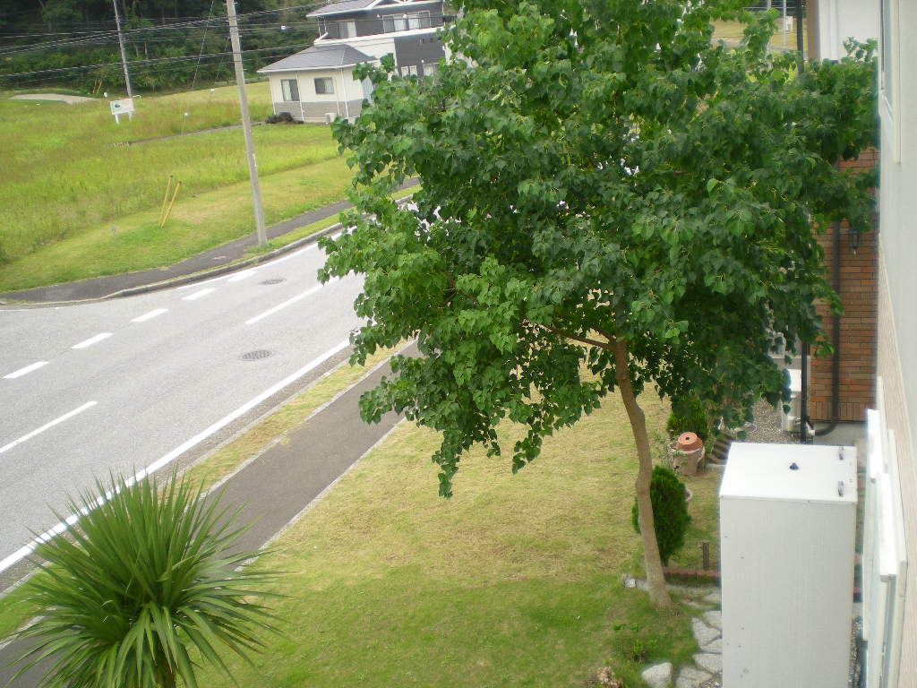 2010年10月7日(木)秋なすとバラ!_f0060461_9264288.jpg