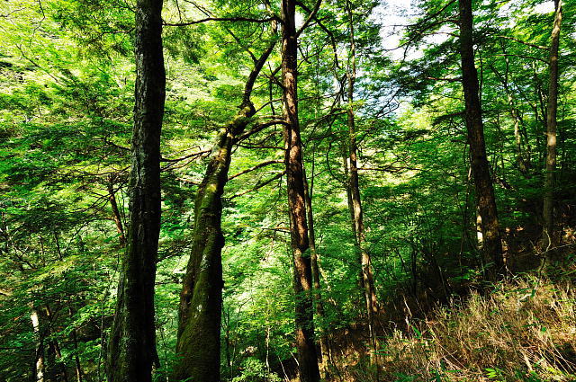 f0222161_1032653.jpg
