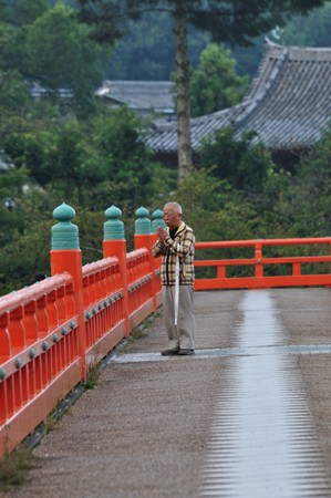早朝散歩 宇治川-中秋のころ_e0164563_11174275.jpg
