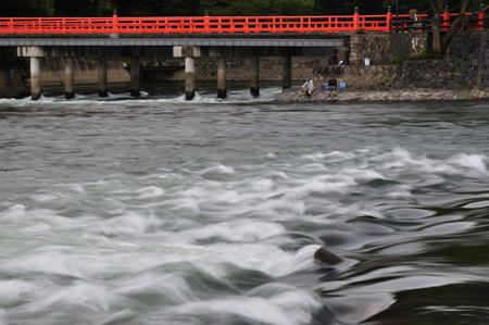 早朝散歩 宇治川-中秋のころ_e0164563_11183772.jpg