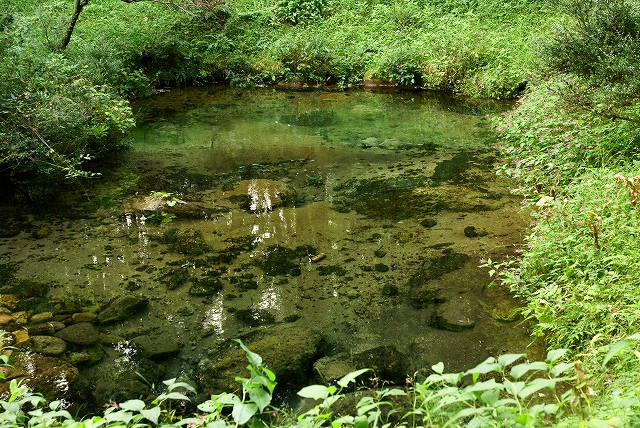 b0198768_7201138.jpg
