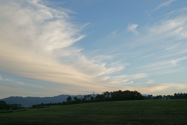 b0198768_833395.jpg
