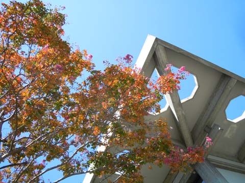 e0100469_2184026.jpg