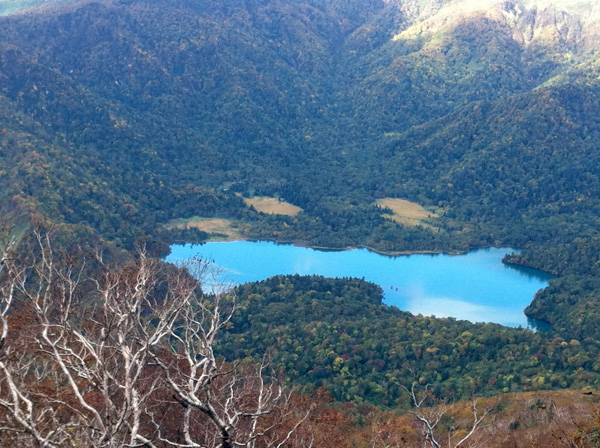 恵庭岳登山_f0021369_2053553.jpg