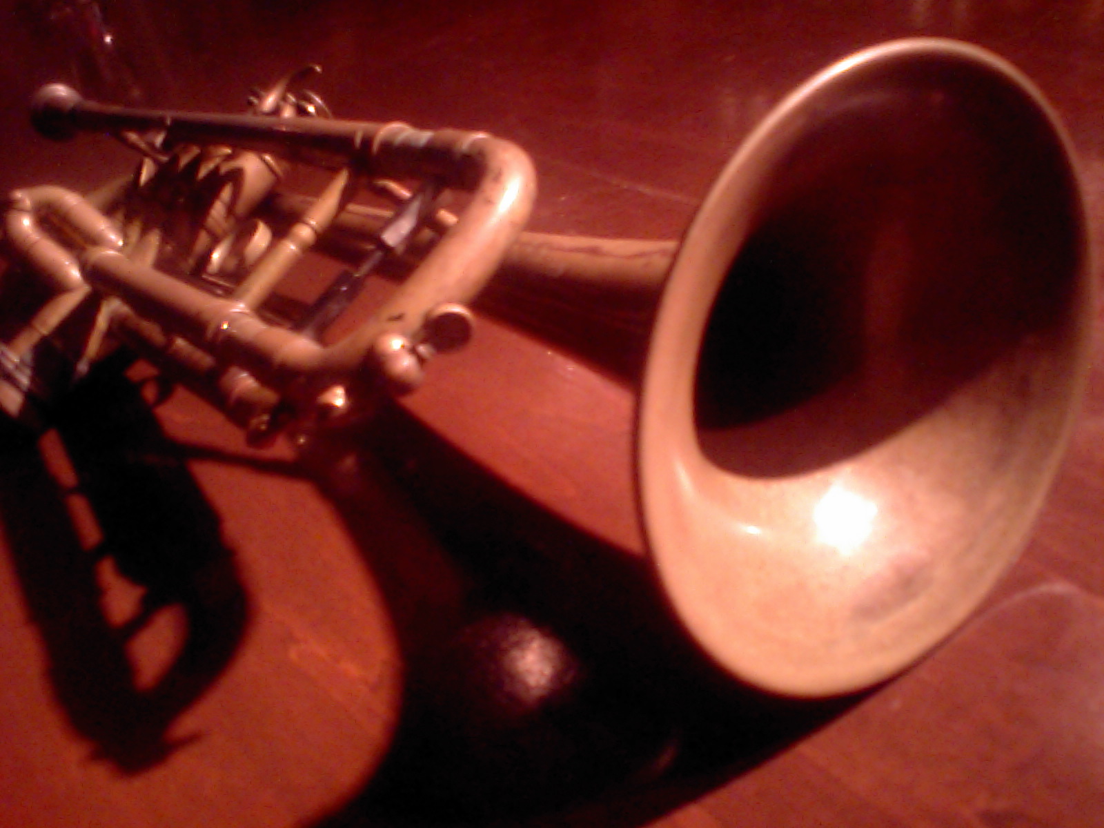 a0160571_1922231.jpg
