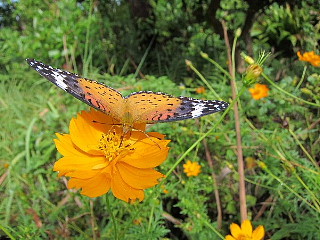 b0141773_0191891.jpg