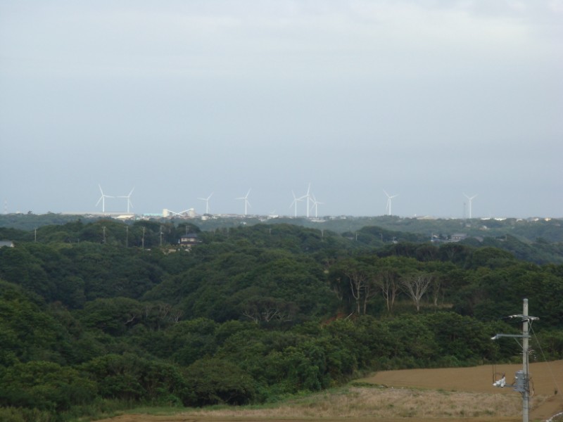 d0116376_1050481.jpg