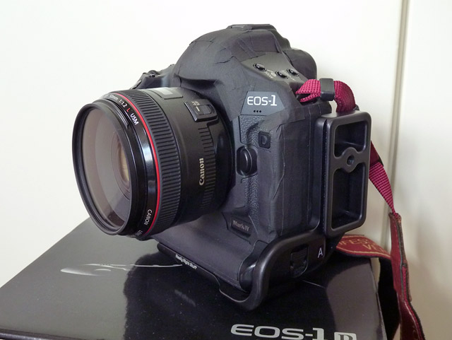 キヤノン EOS-１D　MarkⅣ　運動会仕様　(^^;)_b0042282_23431862.jpg