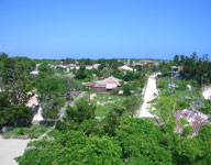 c0221295_12302642.jpg