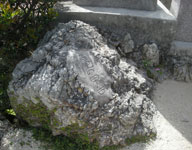 c0221295_123241.jpg