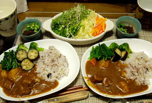 カレー祭り一日目_e0162496_16135830.jpg