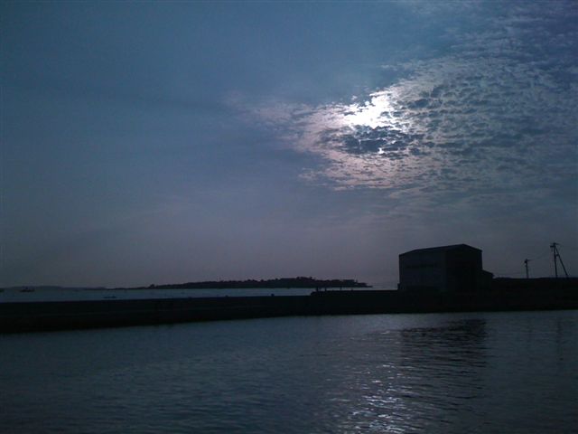 師崎小学校_f0235097_16294697.jpg