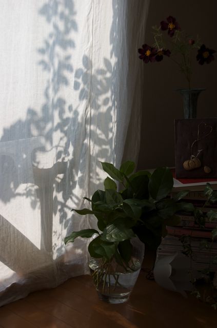 c0220399_792933.jpg