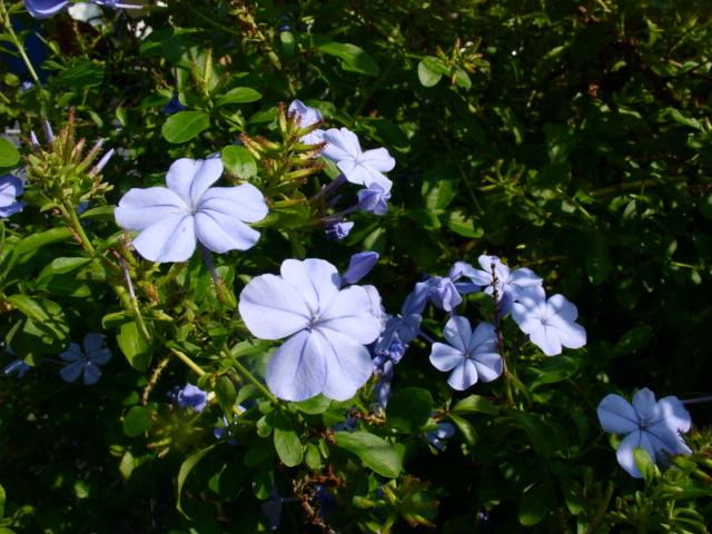 a0031000_1042897.jpg