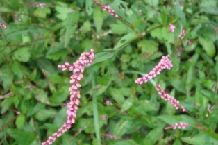 b0128101_1821737.jpg