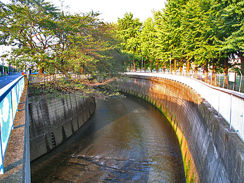 c0163001_0441996.jpg