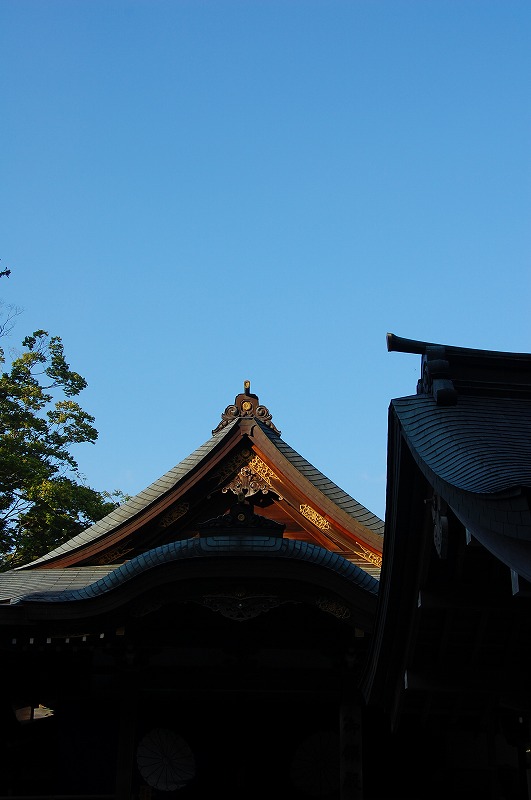 a0092804_23582389.jpg
