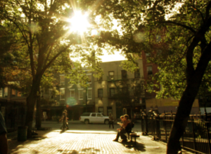 初秋のブリーカー通り(Bleecker St)沿いの風景_b0007805_1412954.jpg