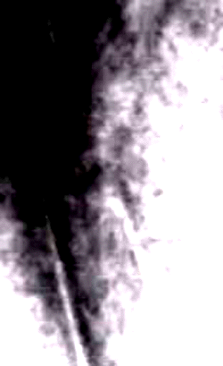 e0103408_9145123.gif