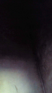 e0103408_915482.gif