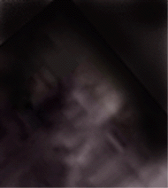 e0103408_942029.gif