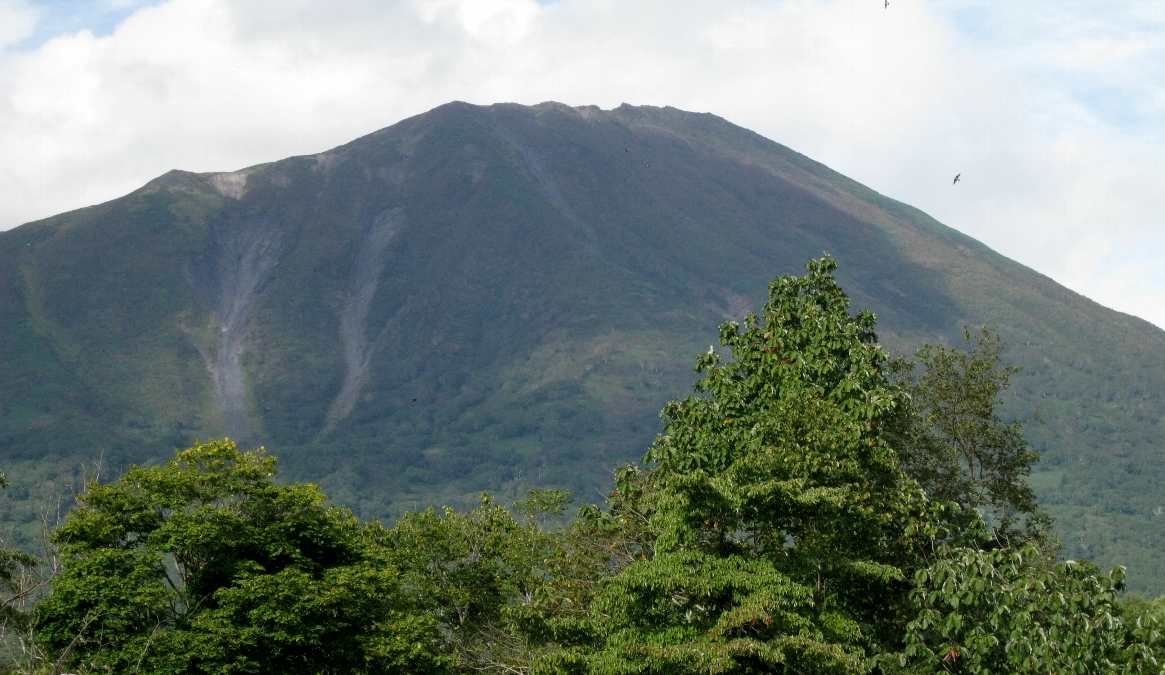 e0003910_9285956.jpg