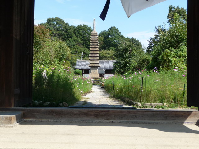 b0174217_19521934.jpg