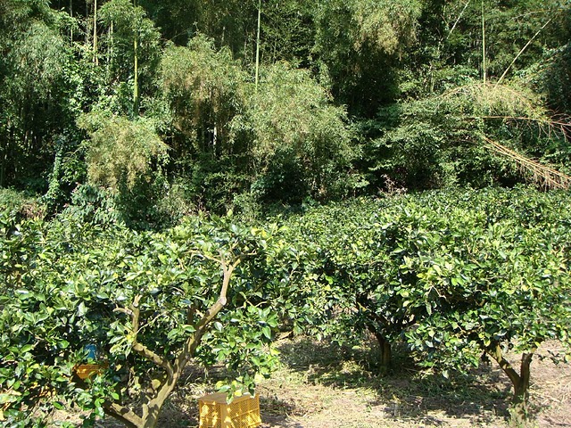 d0181119_21225290.jpg