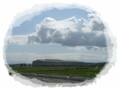 b0166327_0175879.gif