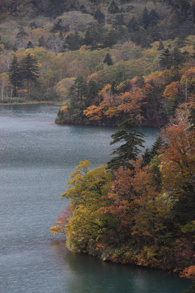 秋本番？　オコタンペ湖の紅葉_a0114629_2216719.jpg