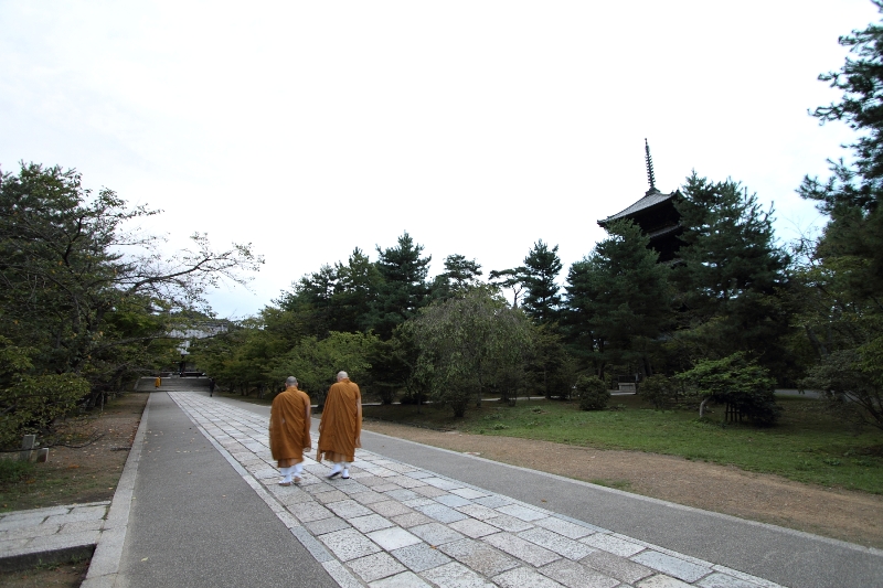 御室仁和寺 －宿坊御室会館（前編）－_b0169330_23473259.jpg