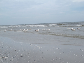 f0224632_2055496.jpg